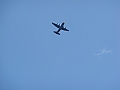 Western Michigan [2010] 465